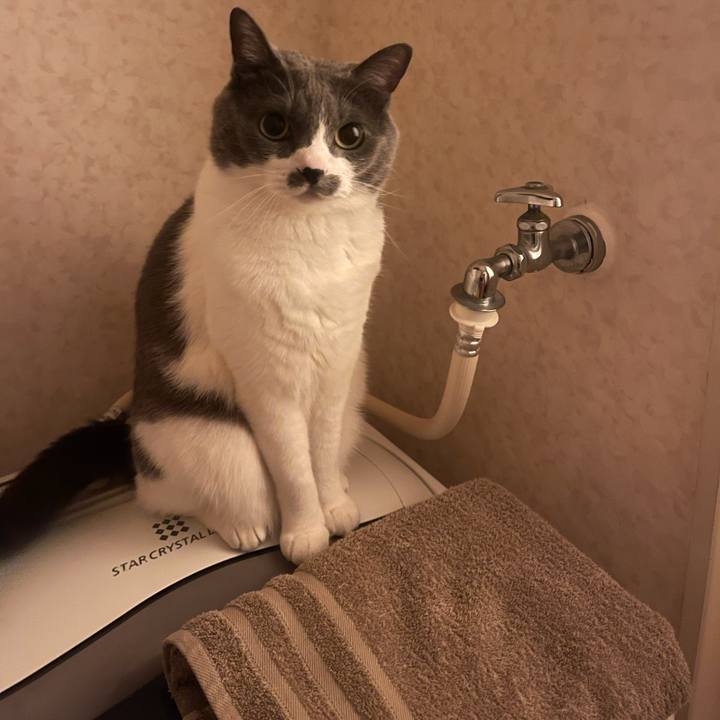 8be92f2f 215d 4478 bcac ec4b1b262da8 1748267340519