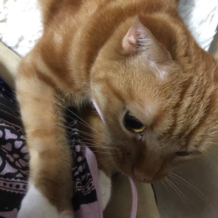 8be9950f adf0 4208 8f77 94969e9e7ff8 1590239793128