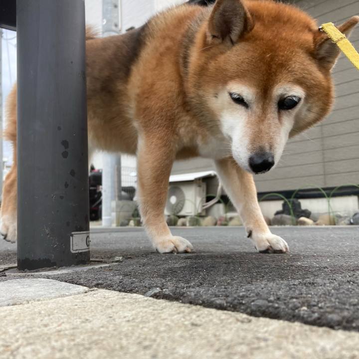 8be997e0 345a 4a26 8281 efebdfc24662 1658393735718