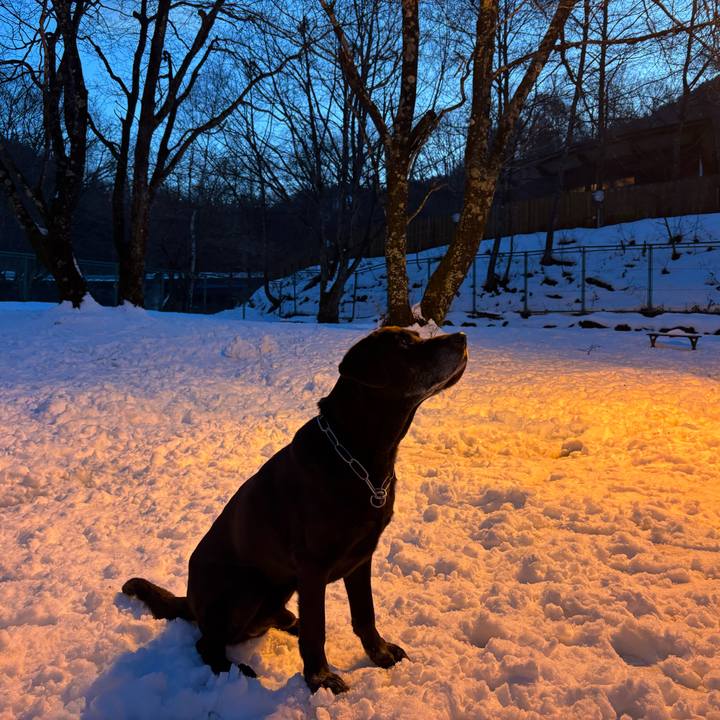 8be9d619 f048 4218 85f7 878cd2ad7aed 1766409036147