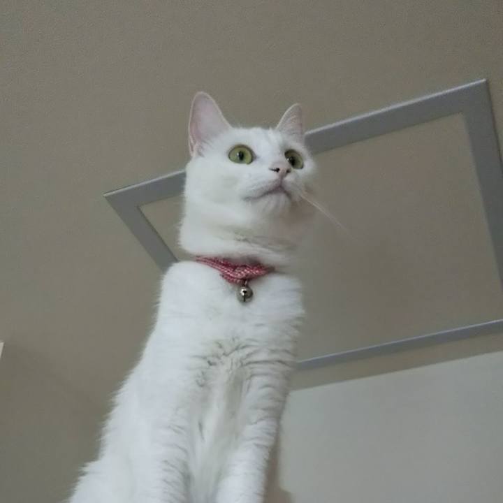 8be9ff56 d22e 4e2f b77c 57073195a517 1625099172903