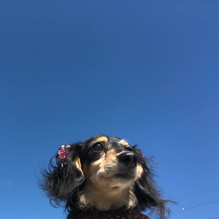 8bea177b e954 43bb 91d1 f1c80e43a43f 1555375290559