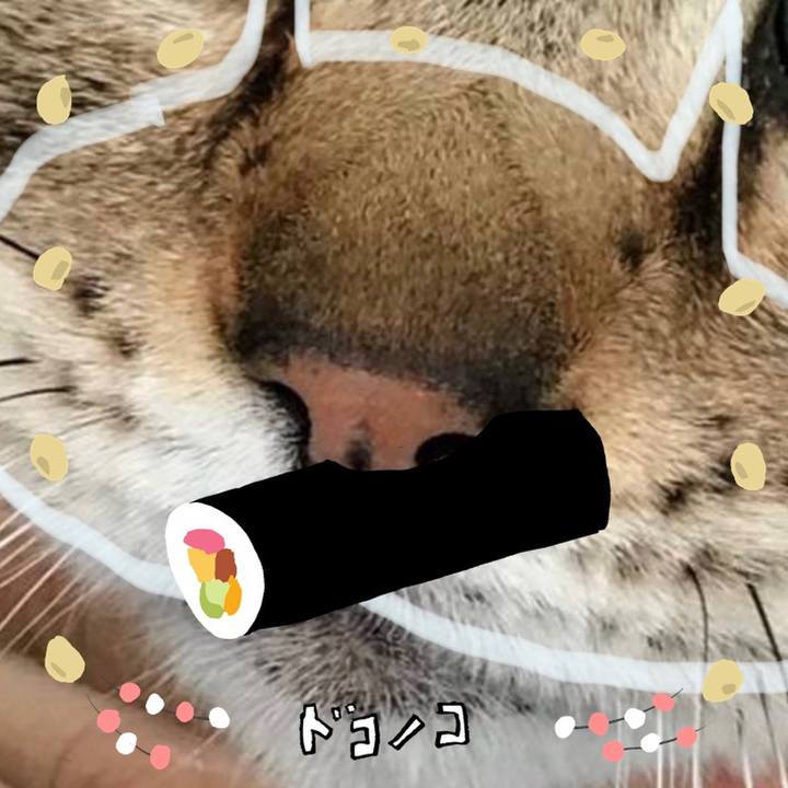 8bea36a5 9d09 45a9 ab1f 53b9d99e528a 1741175708654