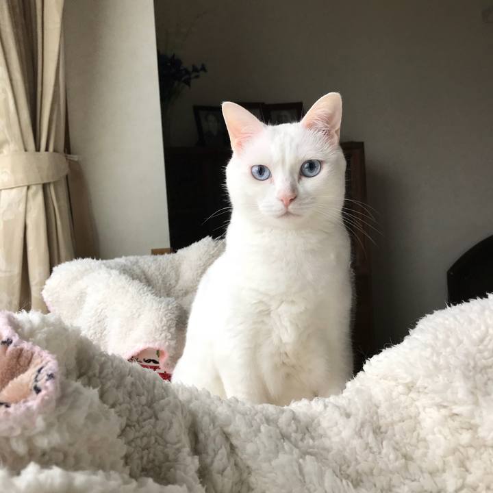 8bea6818 d3d1 48ca 9be1 6c94eecf9780 1525779591235