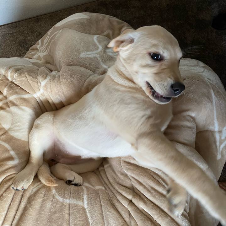 8bea6d75 526f 41d6 a7cf e35fed638294 1613225703807