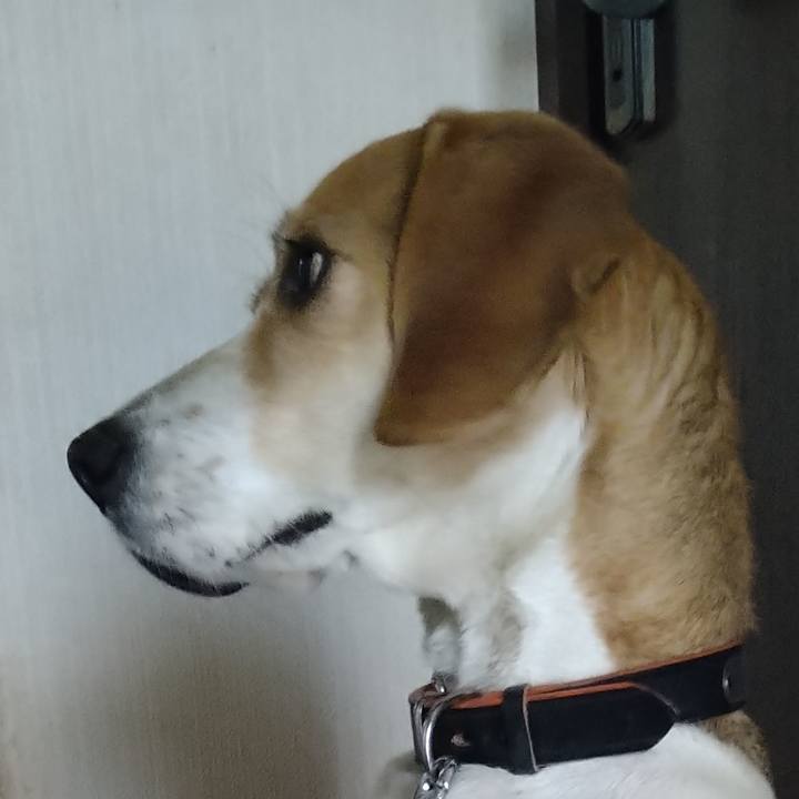 8bea70cd 8fcc 4fa8 b00e 8d4ca817d4ff 1621432631117