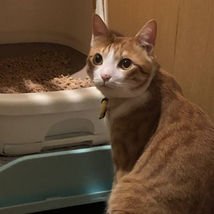 8beabebd 7347 42d1 80b5 9b01b629a9ff 1558347527158