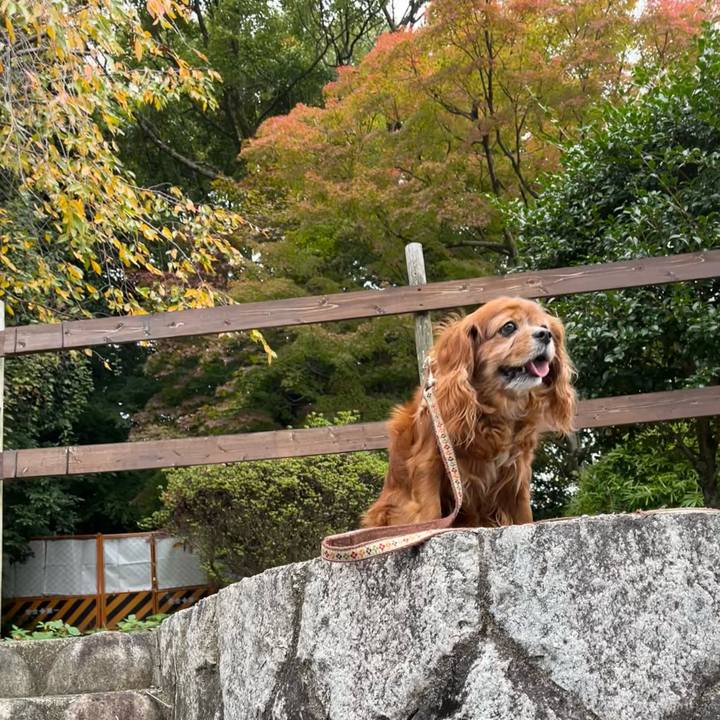 8beac731 6380 4720 a77c b13595e6b18c 1731716557543