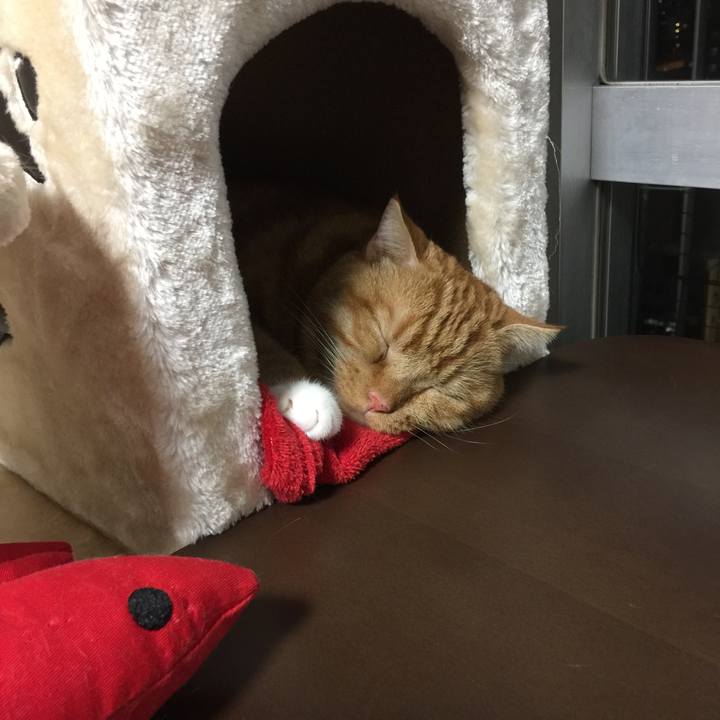 8beacc36 47ef 46db befd 98e70cf2b380 1569145172302