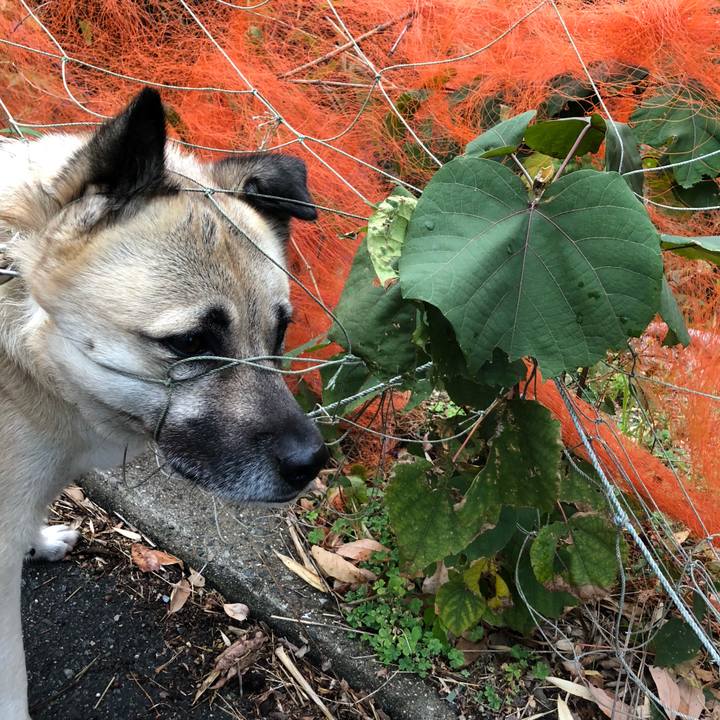 8beb0156 3efe 40e3 b567 db285839fbec 1574582834893