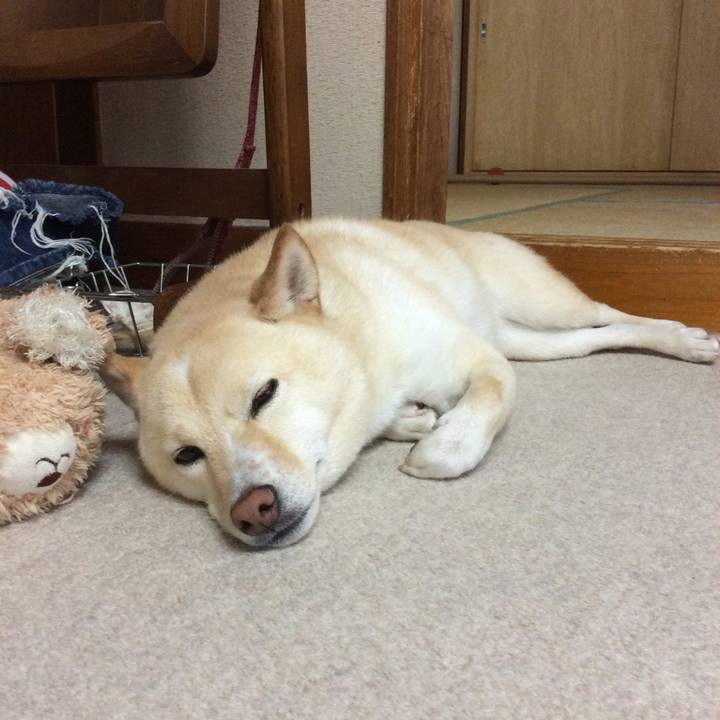 8beba965 7b65 48b8 b256 380f5cf418da 1564795302319