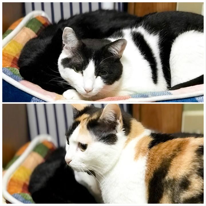 8bebb3cc 75e3 4ed1 988b 1e55845e5eb0 1528421264973