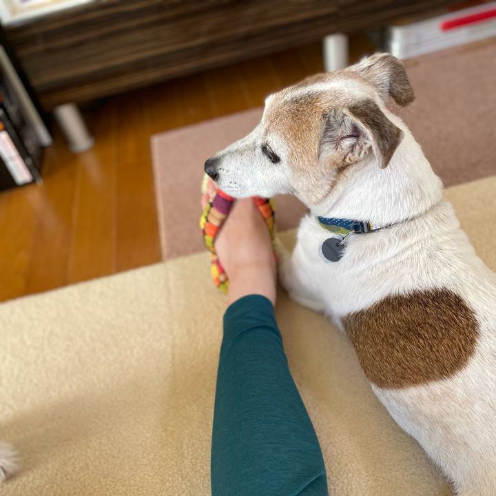 8bec0463 27f0 4325 b11e de43624b85f4 1662287391772