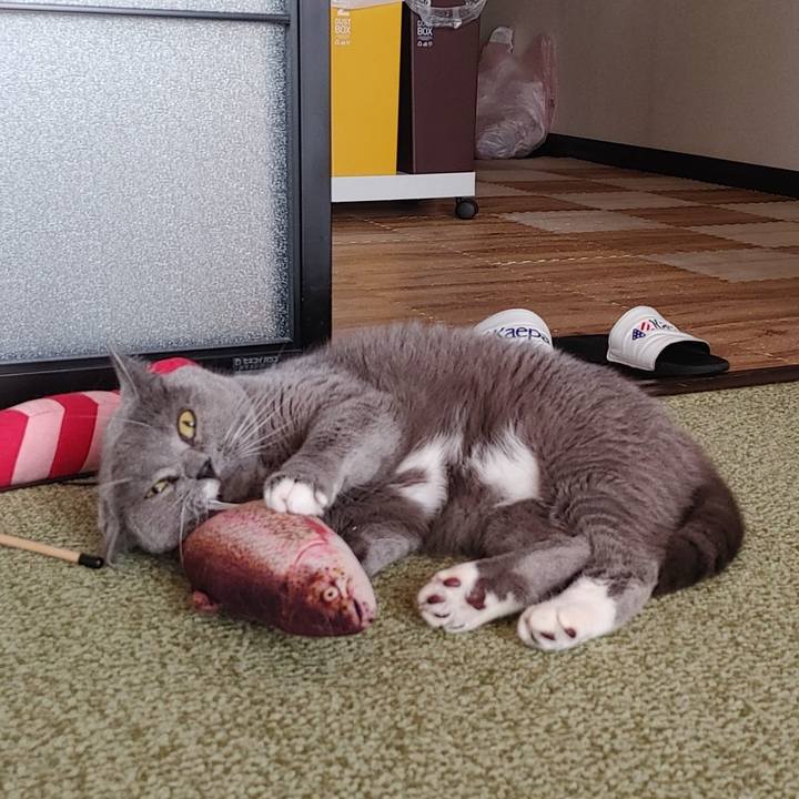 8bec04a6 e61a 4c65 86eb 1b419bc4cfab 1724666885905