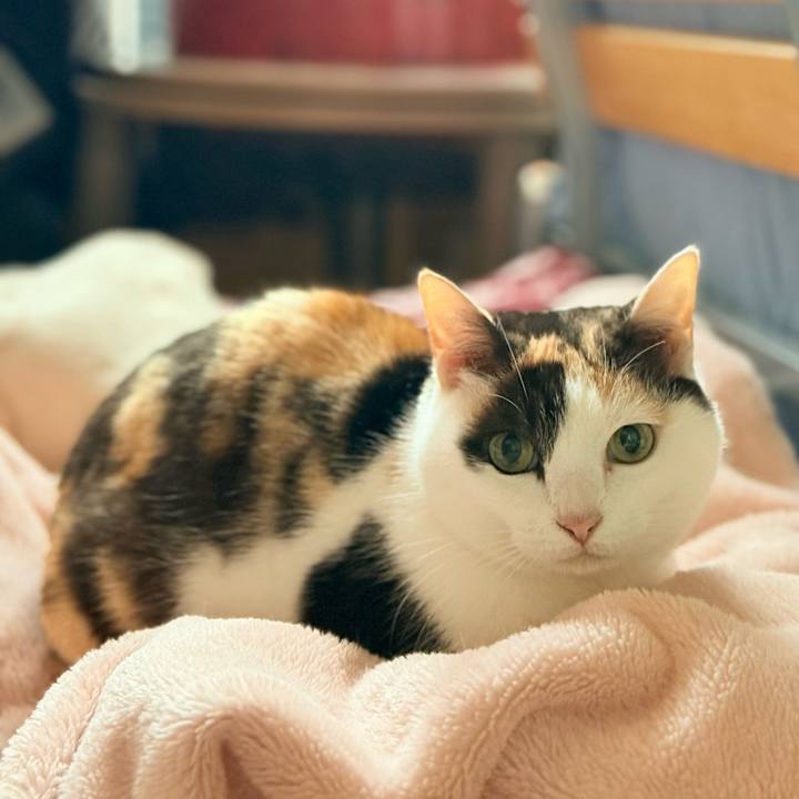 8bec285b a9be 4c09 8a16 e09b2fbd40cd 1747364791271