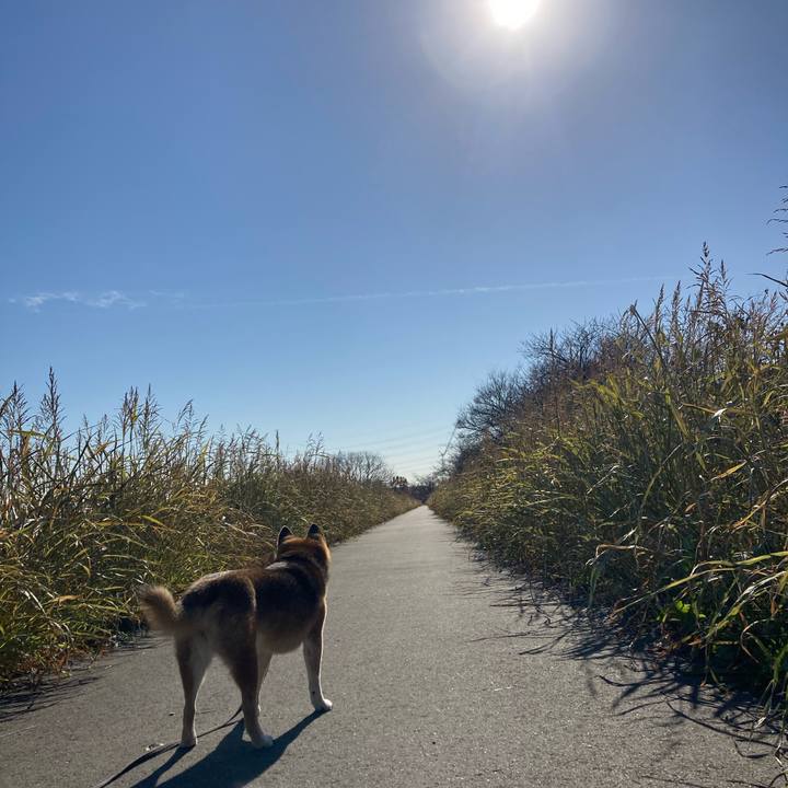 8bec3db0 2a85 45d3 ad55 2ed02a808bef 1765174142117