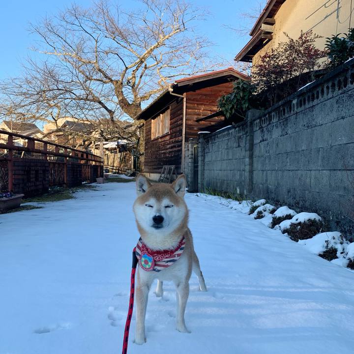 8bec70bb f695 4cf2 95df b6aca61326ed 1640689337600