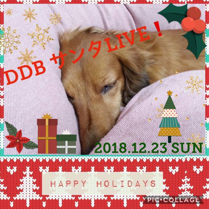 8bec7955 16c7 45a6 8b30 891b76e65d3c 1544395571729