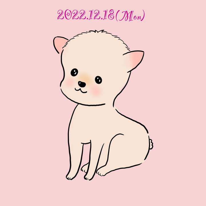 8bec8286 8304 4bae b134 bfc91afac084 1671456827062