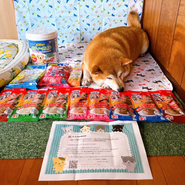 8becb2ed cc7c 4fa2 8bf9 9f8f4904d8a6 1657332885529