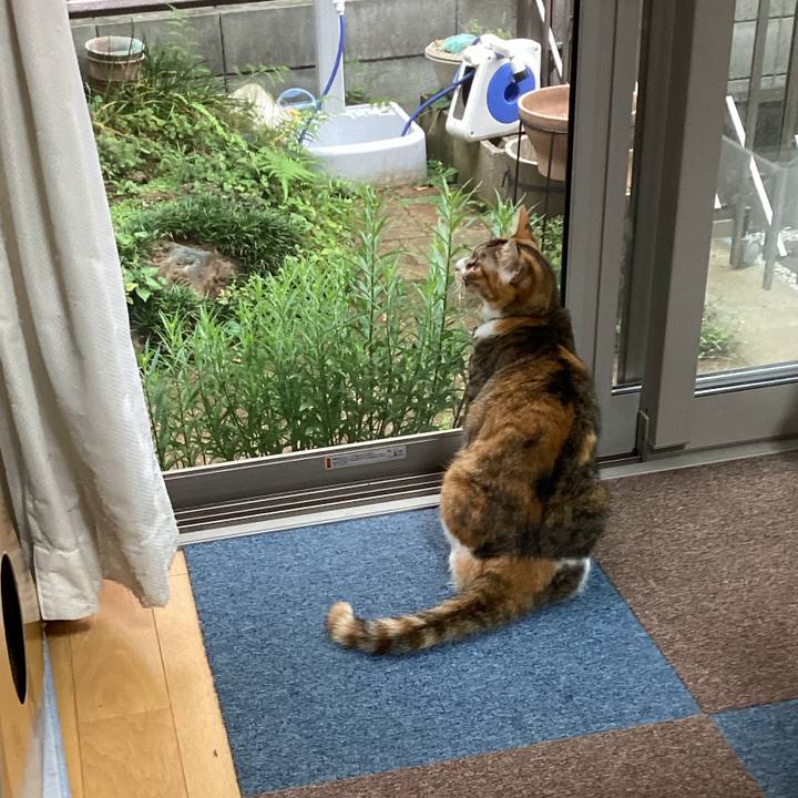 8becb997 8a9d 4310 bf13 8d366780f367 1658786549150