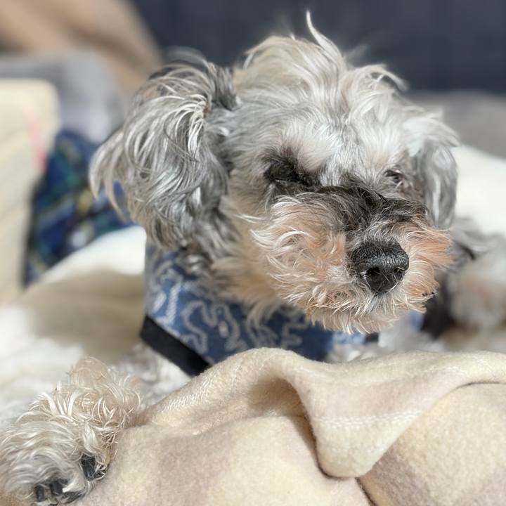 8becec61 f5e9 4973 a296 9027cf0f4350 1771914544207