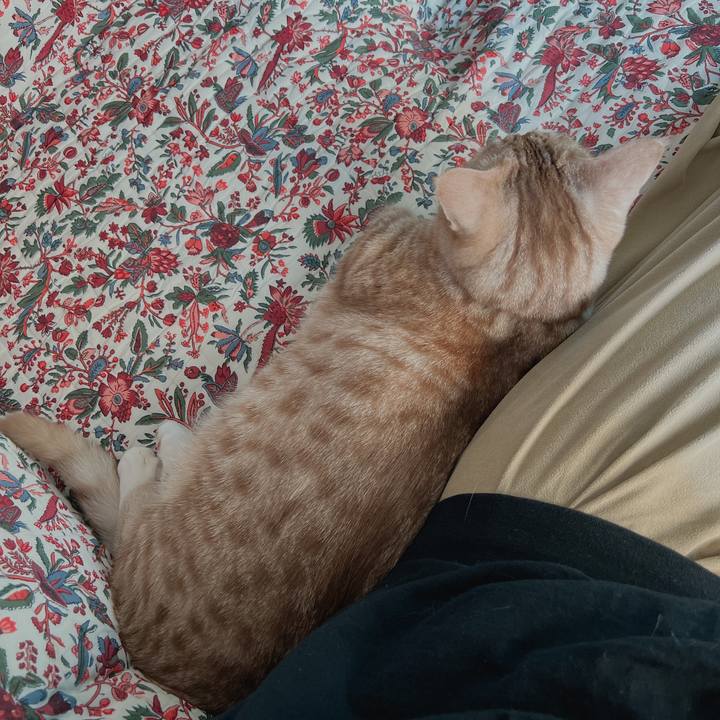 8becf717 4201 47af 9a18 ab8d0fc6e27b 1667008255771