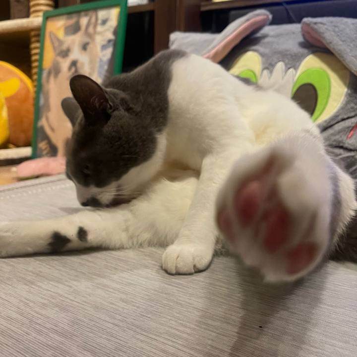 8becff09 46d9 49eb aefd 365412ce0277 1753451820861