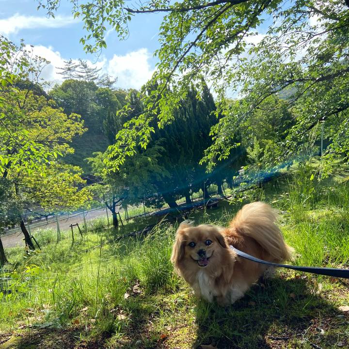 8bed0d35 82c2 4fa8 abff 31f9f1138642 1589672288661