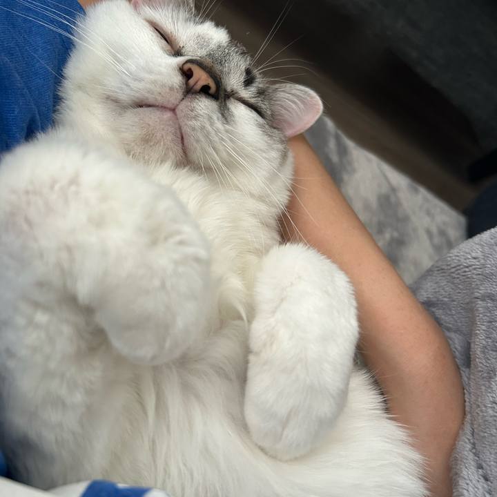 8bed182f 828e 4834 b241 951d7d8e1ed2 1683423451122