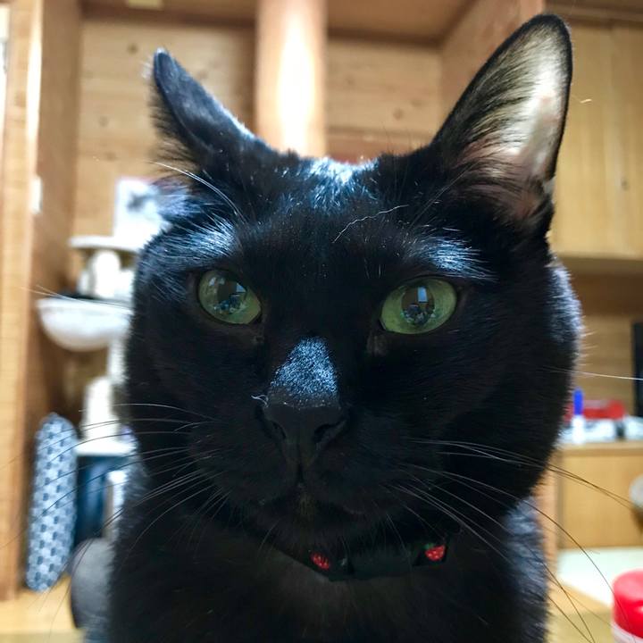 8bed2641 f2d1 4dfc b8dc a806157db853 1547561786951