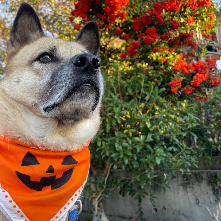 8bed46fc d81e 493d a51e cbaab5a6fe1b 1667220203634