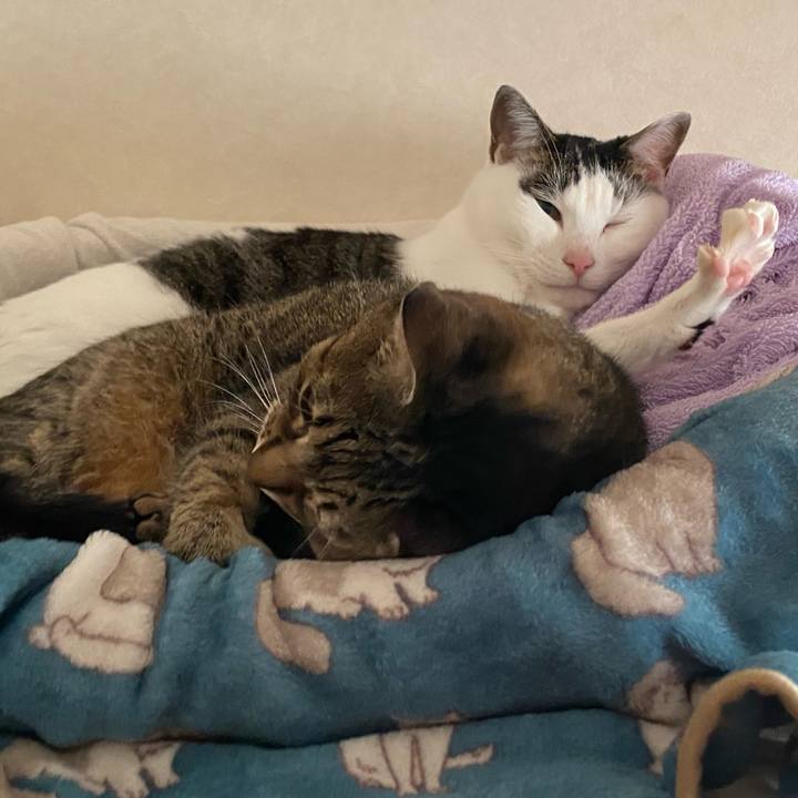 8bed83e2 6062 498f 8523 403c7ece91fa 1771048496867