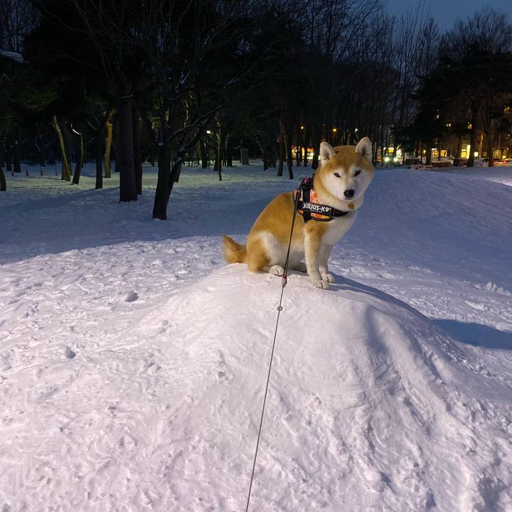 8bed9ec6 1e93 4a4c 9dc2 819466750295 1612445441247