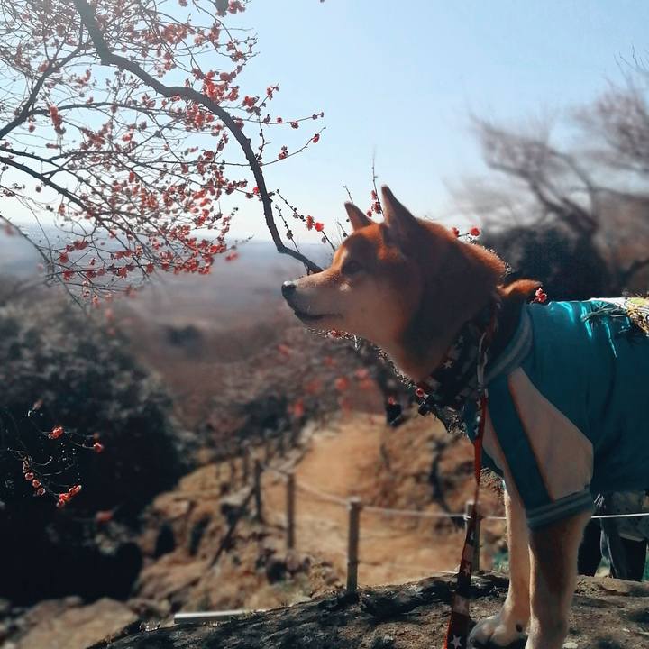 8beda3bd 49cd 48d9 b5c6 8e6568fd4464 1645542761841