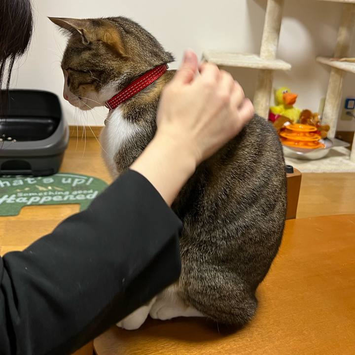 8bedb871 0105 475f ac63 94d5ce8eb42f 1720012696763