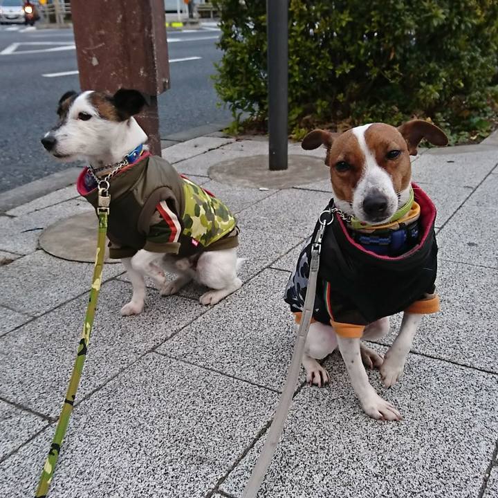 8bedd2f0 693a 472b b70d 504c6d18c123 1548886300842