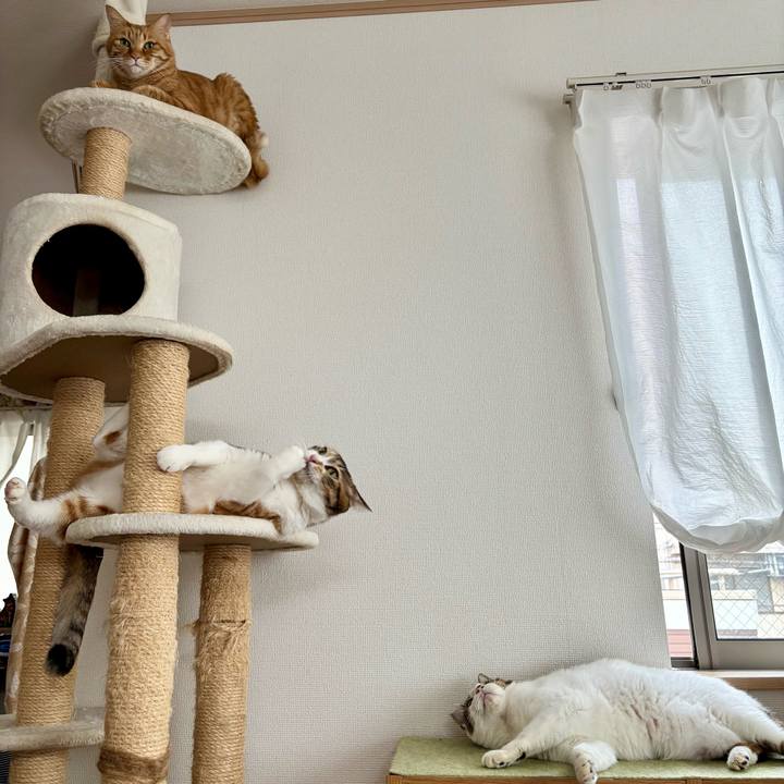 8beddfe8 1348 4000 801d e9c1463dc1f5 1760419883157