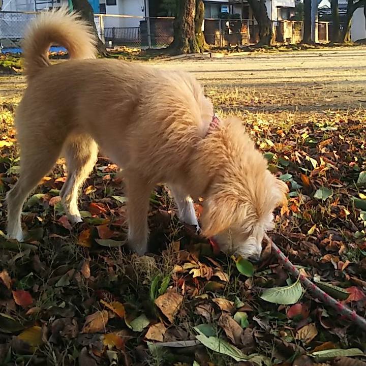 8bede047 afd3 47a8 b8ab 163f2f1aeda3 1508744331120