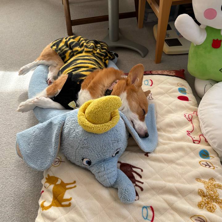 8bee05bf db92 4d5a 937e 4fdfa62f7062 1770349042817