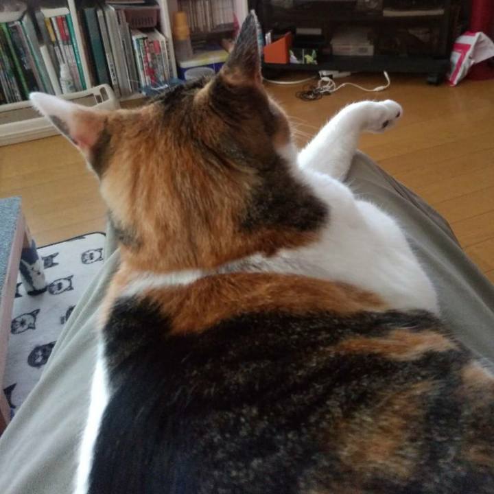 8bee0d2b 0f50 453a b12a cbb010c32c22 1593163200195