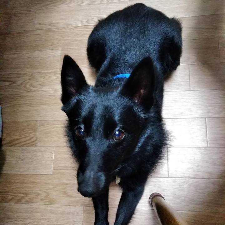 8bee4405 2dcf 425a 8ab3 d38b72af80bb 1580547873216