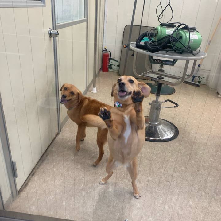 8bee4644 3af3 46e1 875e edaceb8bd55c 1622854428888