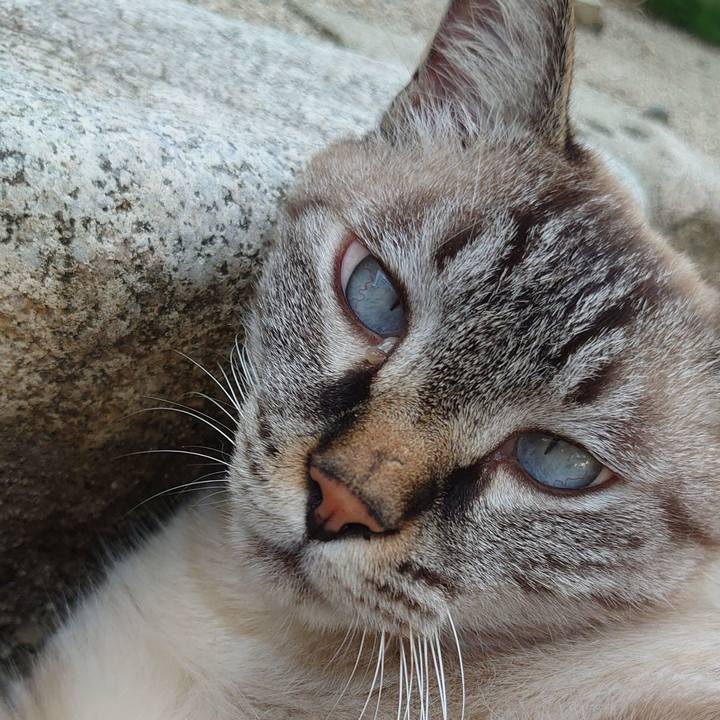 8bee4f9a 3cb1 4399 8198 bc4fc5d77b3e 1660895377201