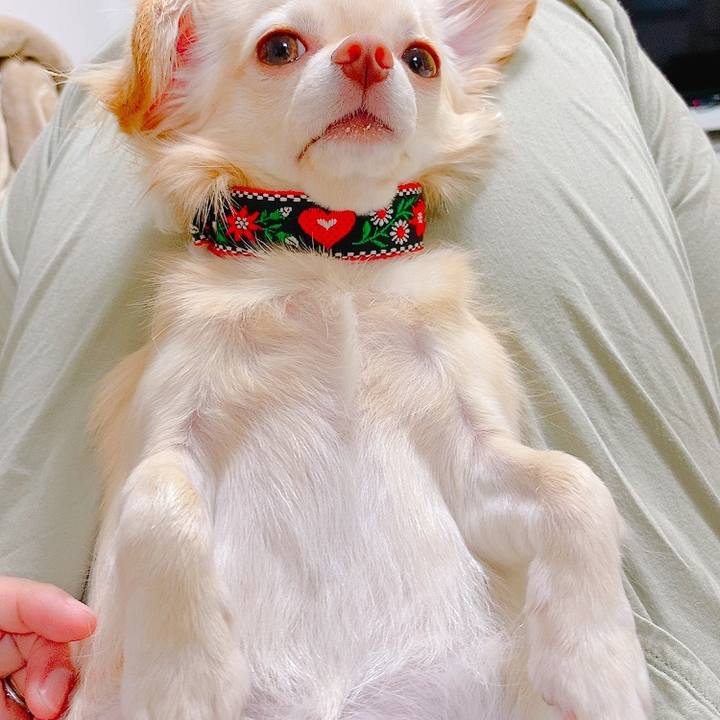 8bee6a86 18fa 4c99 8b69 af27fe039370 1633862282982