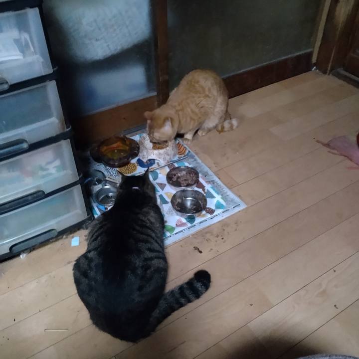 8bee6d6f 68be 4d32 b76e ec1a97cd7fa7 1669415604802