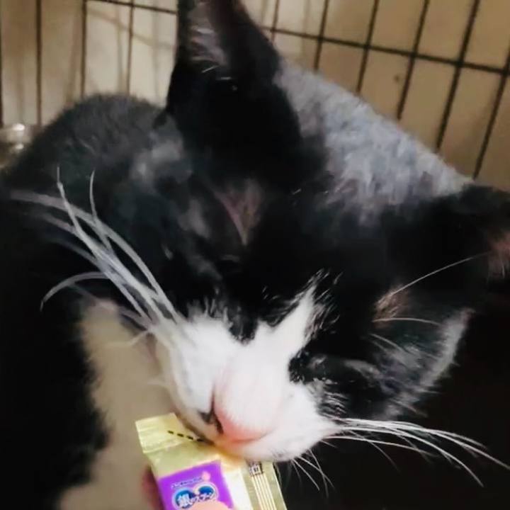 8beebfd3 aeac 4538 9841 992c1d66eeda 1728984273853