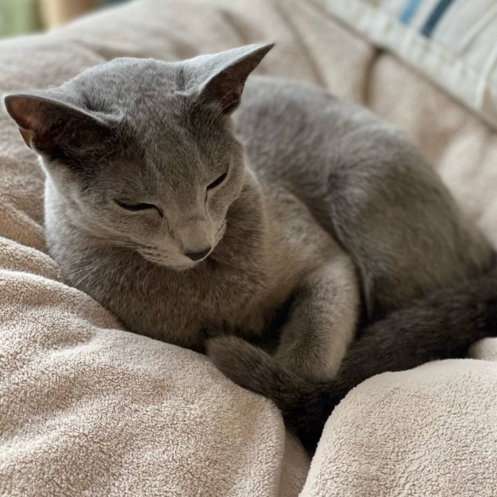 8beed7e8 da80 4be6 bce0 b20f9d833258 1637190430536