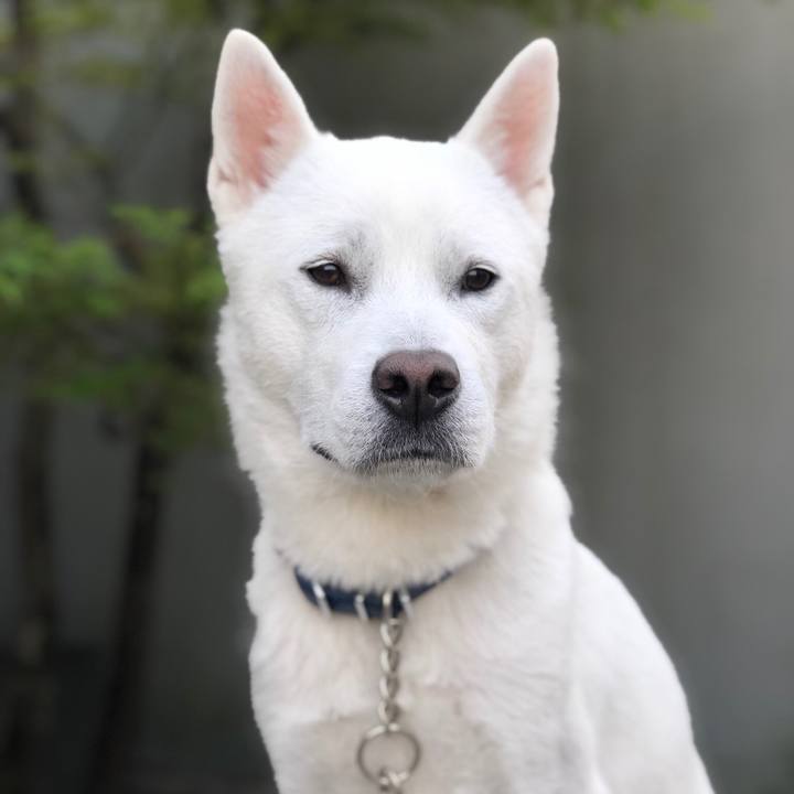 8bef1b98 4b63 4335 bf54 9ac498e38fbd 1553899771746