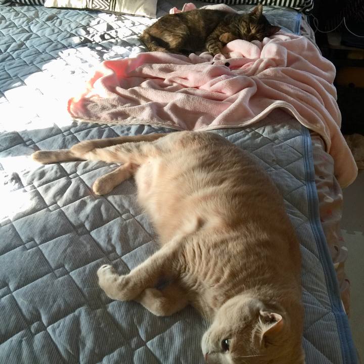 8bef1fa9 f897 4127 abf0 9fd4c60072d2 1597108340118